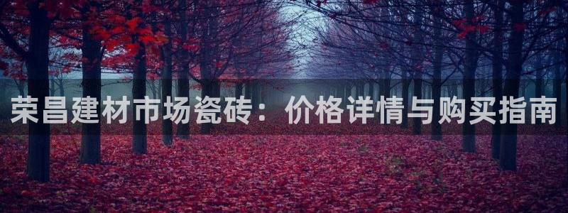 杏鑫代理注册资金多少