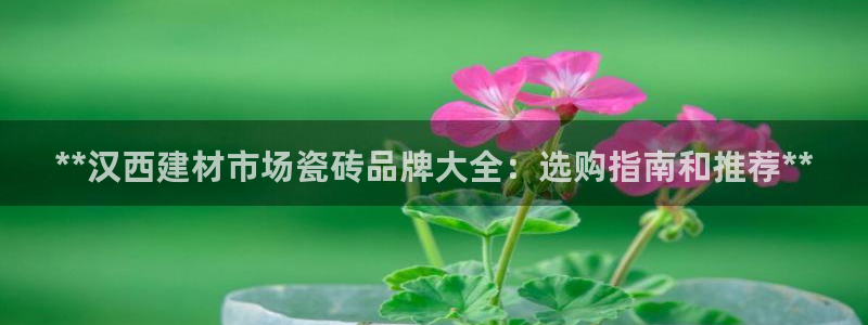 杏鑫平台代理注册流程视频