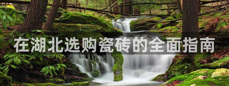 杏鑫平台招商怎么样