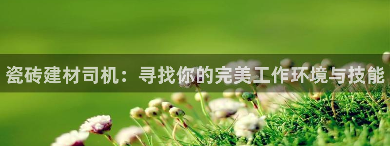 杏鑫平台注册入口在哪