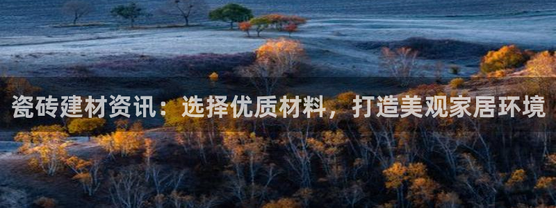 杏鑫有亏损返点吗