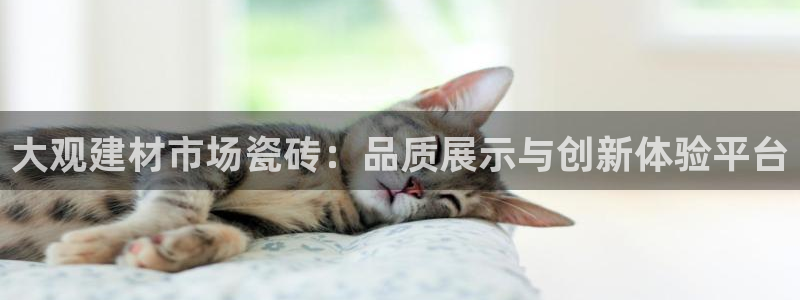 杏鑫官方平台怎么样
