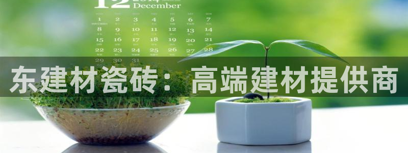 杏鑫官网最新信息新闻报道