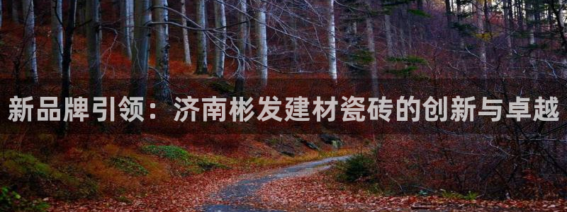 杏鑫官网最新信息