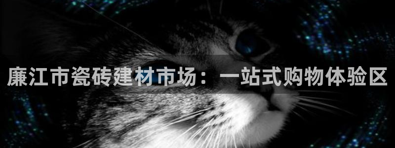 杏鑫官网最新信息新闻报道