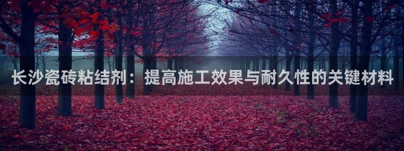 杏鑫平台直属哪个公司