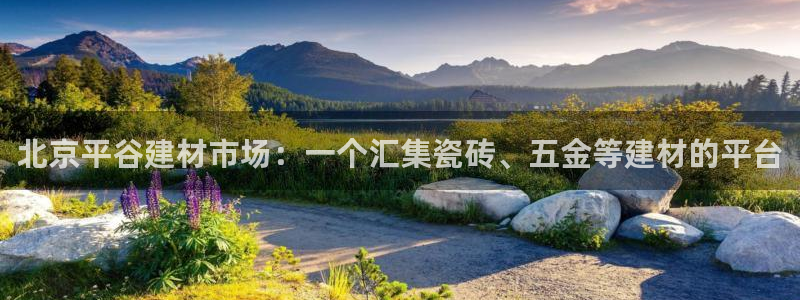 杏鑫官方平台怎么样啊