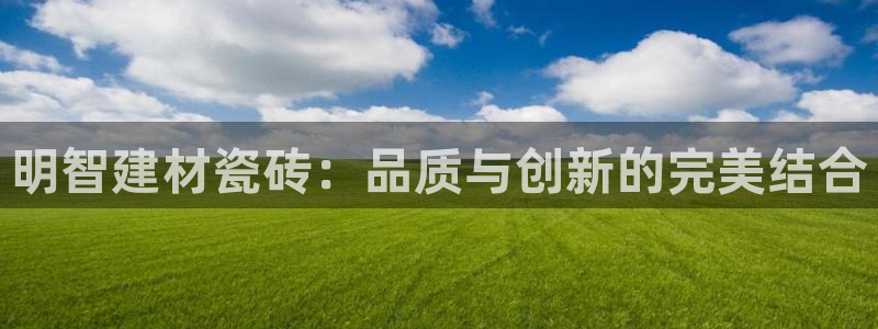 杏鑫招商总代