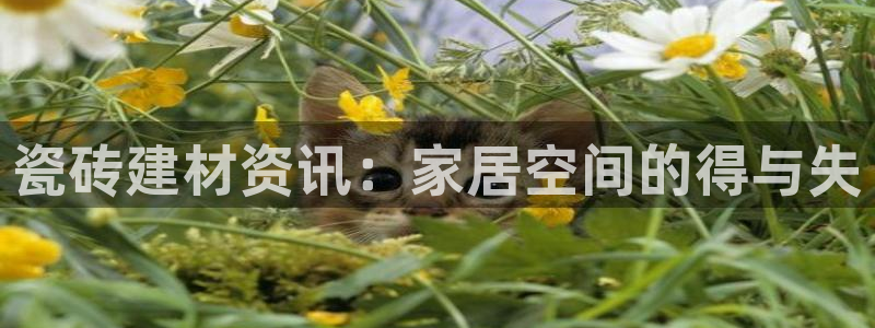 杏鑫官网注册账号