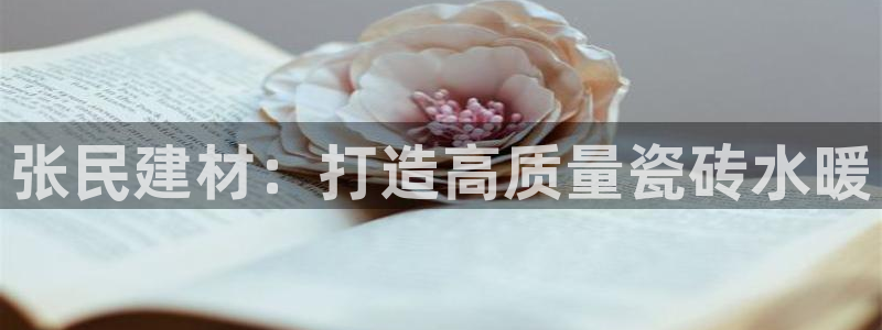 杏鑫平台注册入口