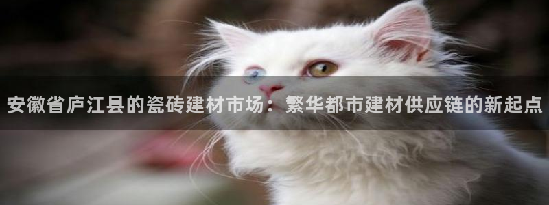 杏鑫平台登录地址在哪