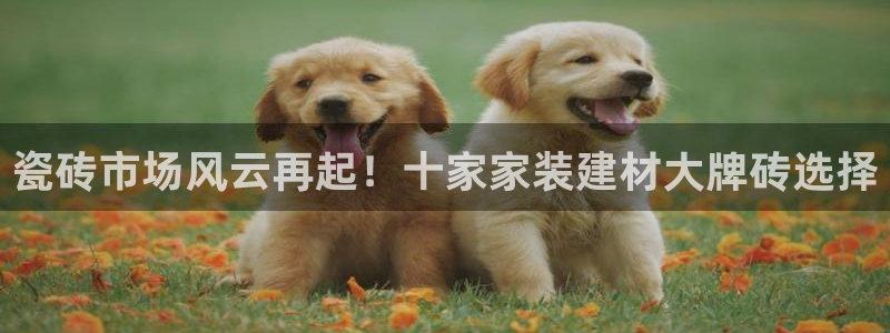 杏鑫娱乐多少年了