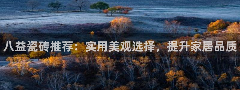 杏鑫官网注册账号是什么意思