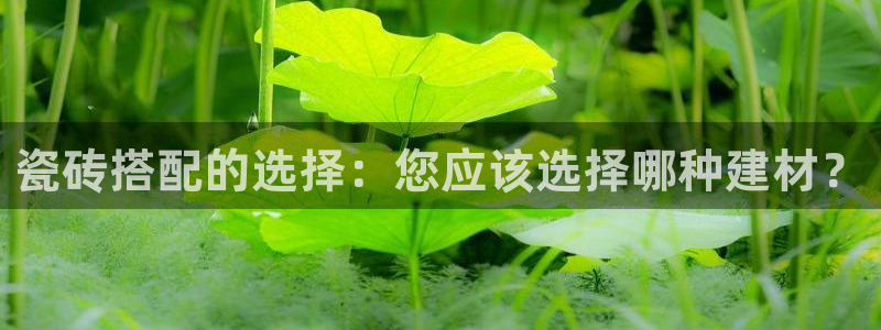 杏鑫注册登录网