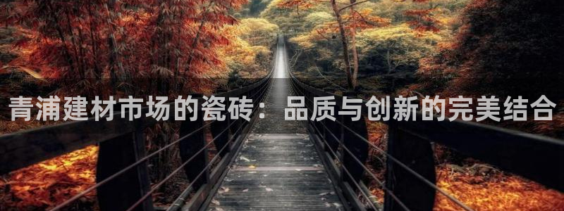 杏鑫官方平台怎么样