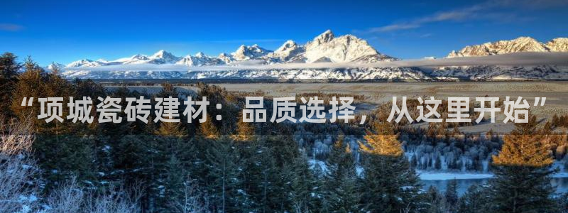 杏鑫平台在线注册怎么注册