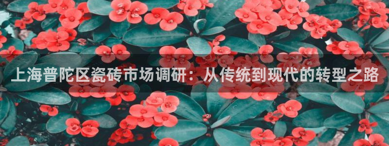 杏鑫平台提供