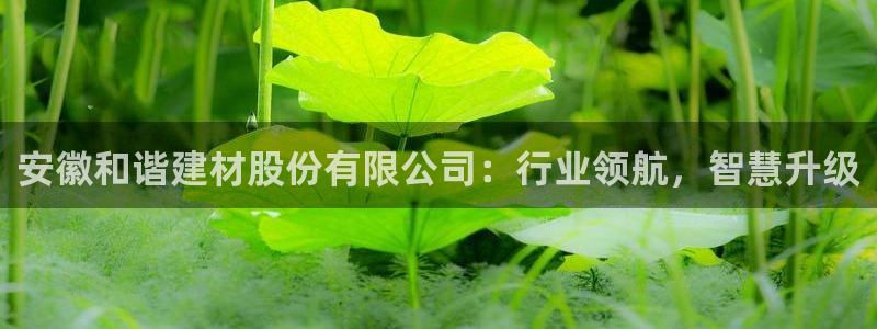 杏鑫官网注册账号密码是多少