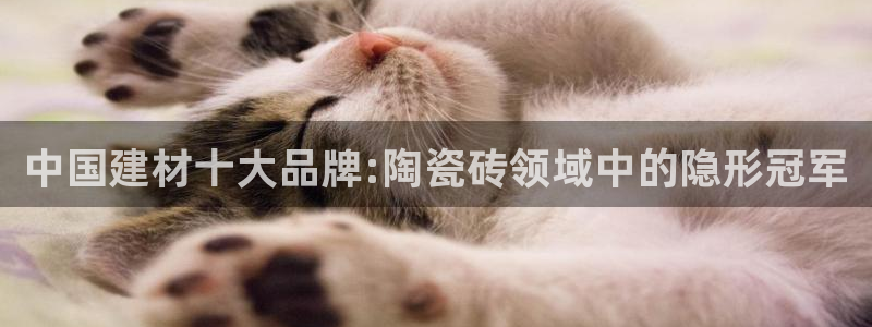 杏鑫娱乐是真的吗还是假的