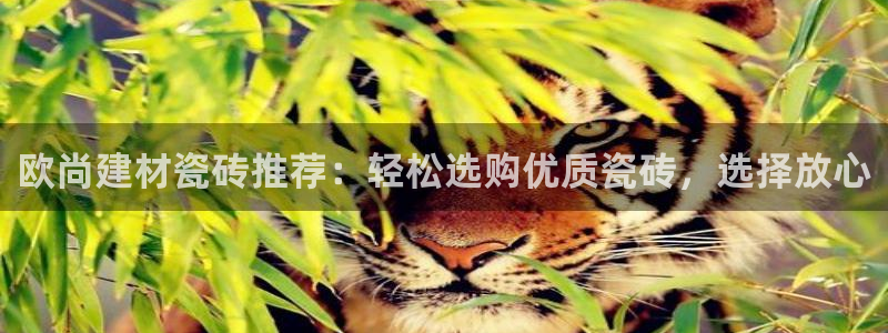 杏鑫平台在线注册