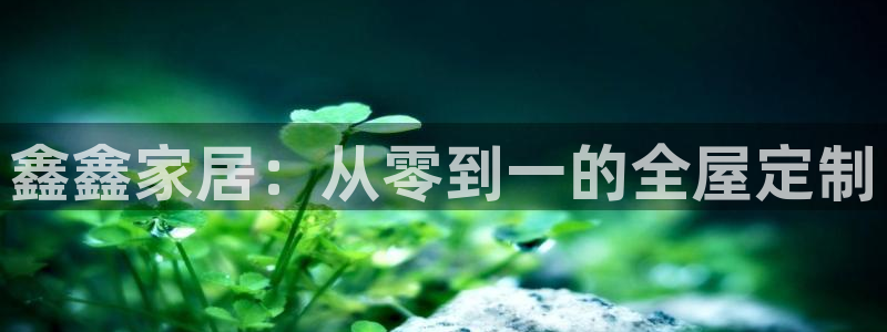 杏鑫平台代理怎么样