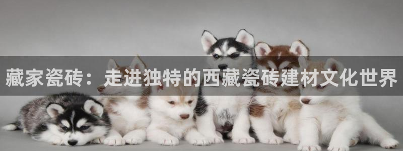 杏鑫注册登录网