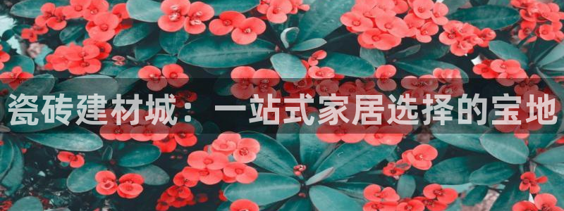 杏鑫官网注册账号是什么