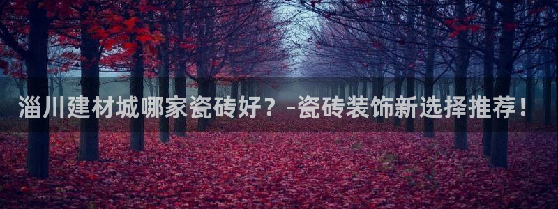 杏鑫平台注册登录