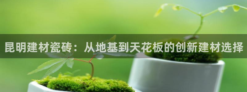 杏鑫注册平台官方网站入口