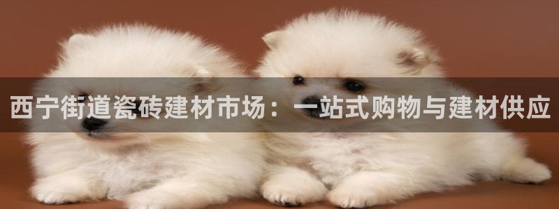 杏鑫娱乐官网登录