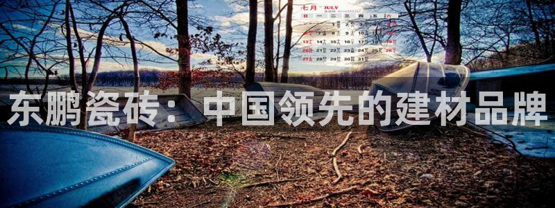 杏鑫平台在线注册流程