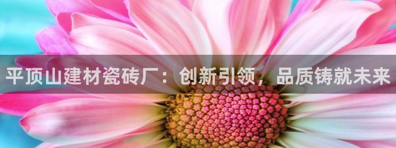 杏鑫官网注册账号密码是什么