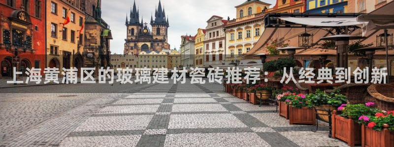 杏鑫平台登录地址是什么