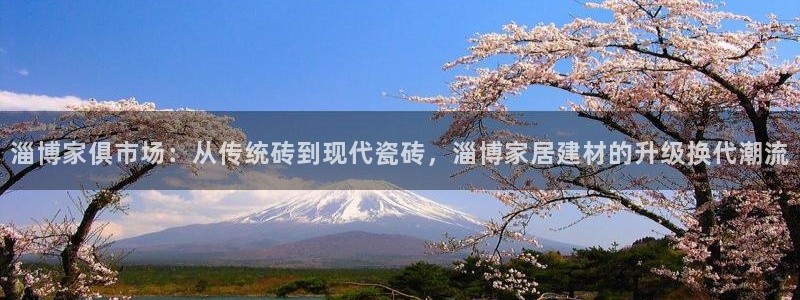 杏鑫官网注册账号是什么意思