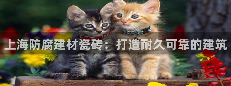 杏鑫娱乐官网首页