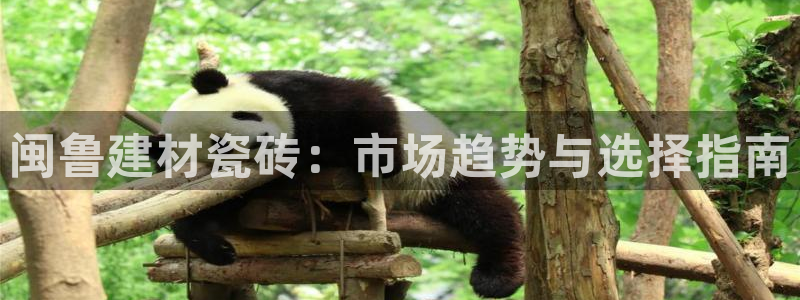 杏鑫娱乐官网下载