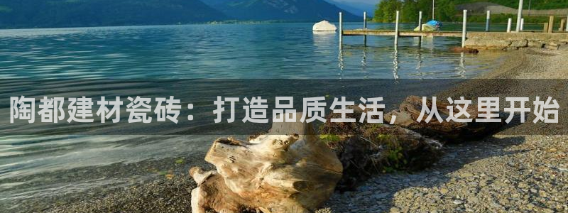 杏鑫代理注册资金多少