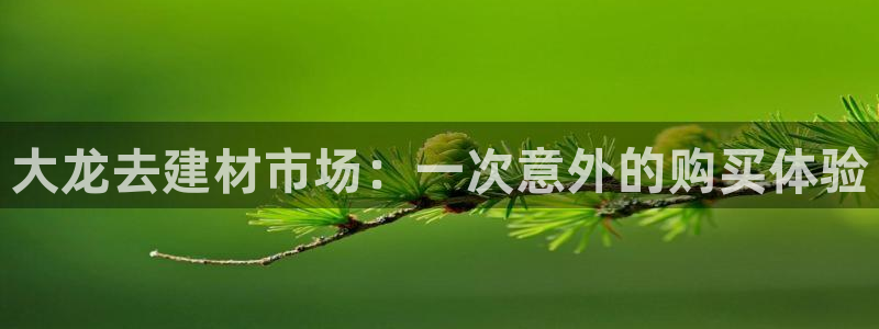 杏鑫平台注册网址