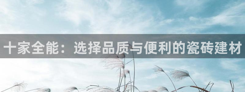 杏鑫注册登录代理