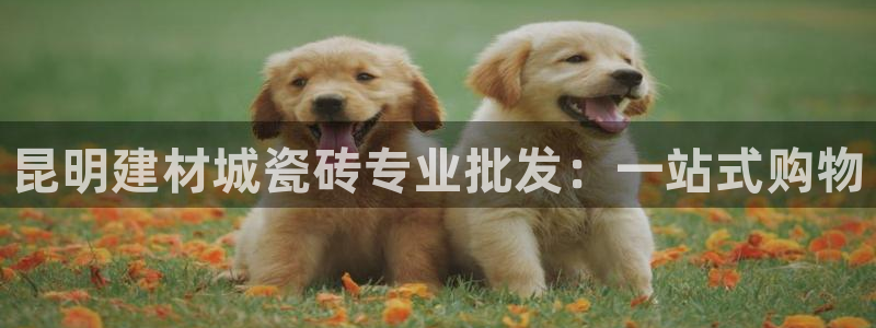 杏鑫代理注册登录