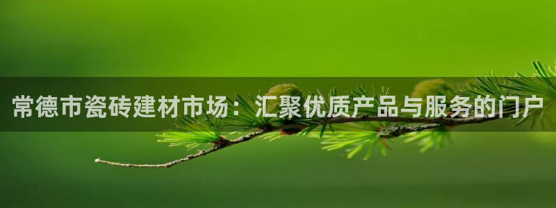 杏鑫平台怎么样黑钱吗是真的吗知乎