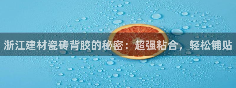 杏鑫官网最新信息