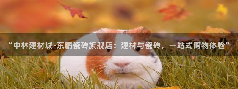 杏鑫平台代理怎么做的