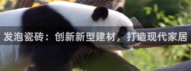 杏鑫官方平台怎么样