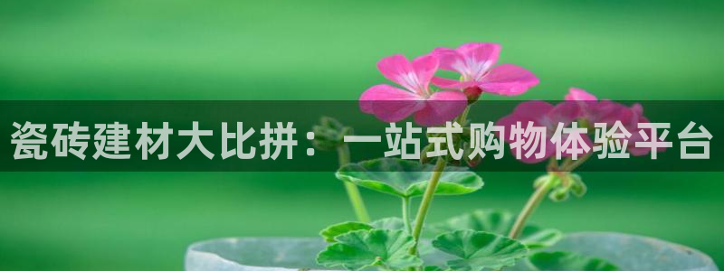 杏鑫平台代理怎么样