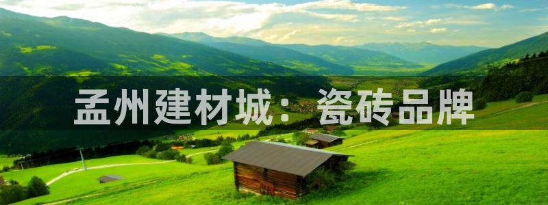 杏鑫手机客户端