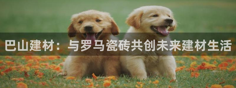 杏鑫注册平台官方网站