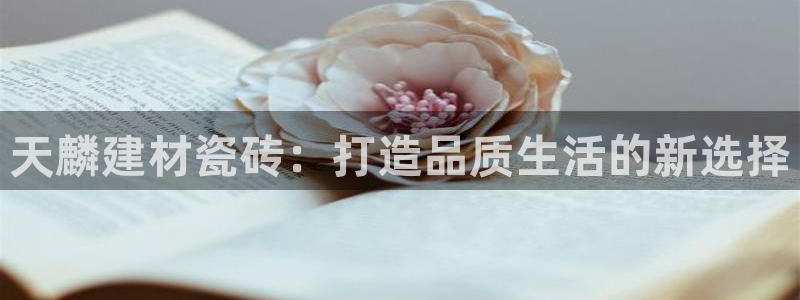 杏鑫平台正规吗